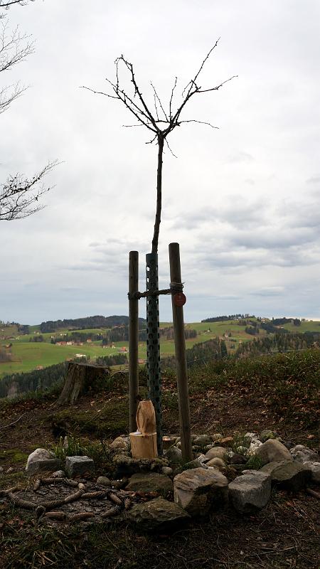 2013 12 25 A